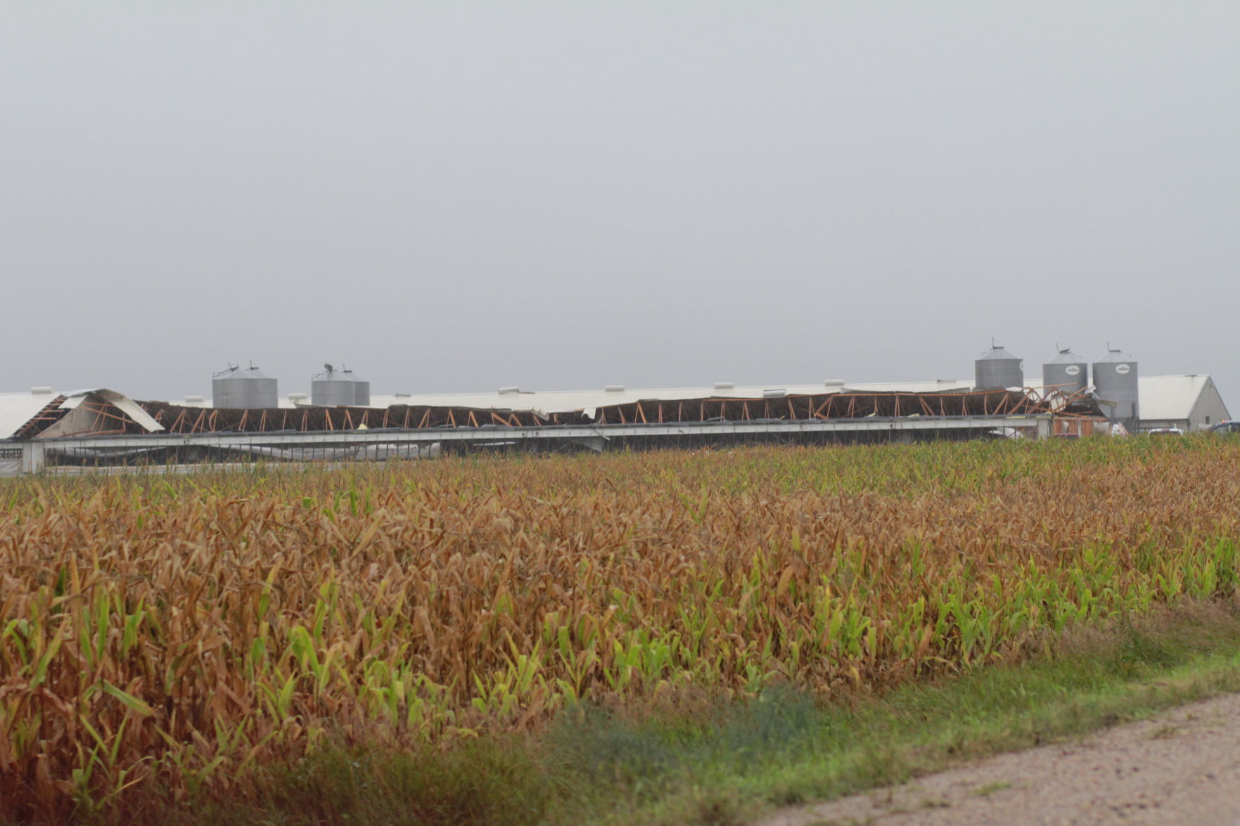 Algona tornado